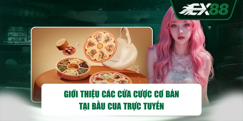 Giới thiệu các cửa cược cơ bản tại Bầu Cua trực tuyến
